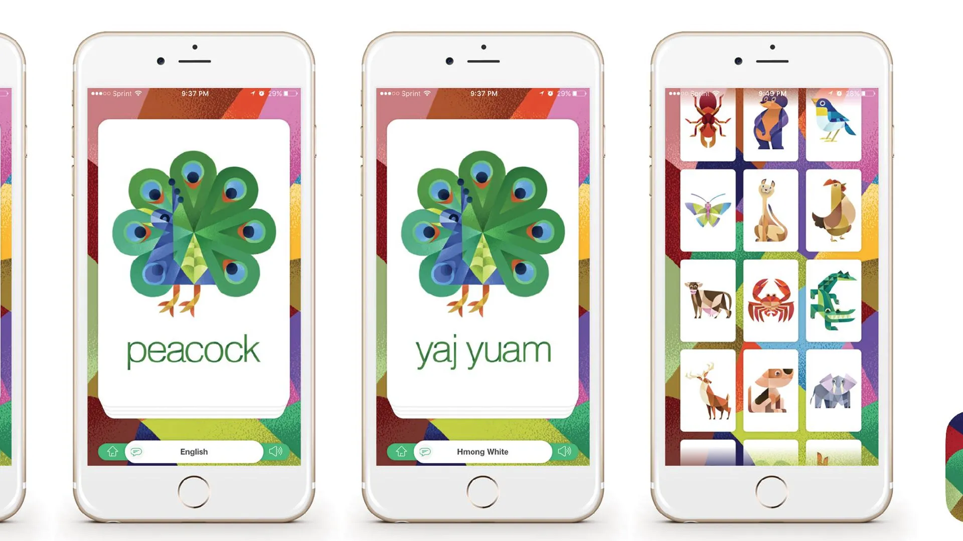 Zoosi Flash Card App