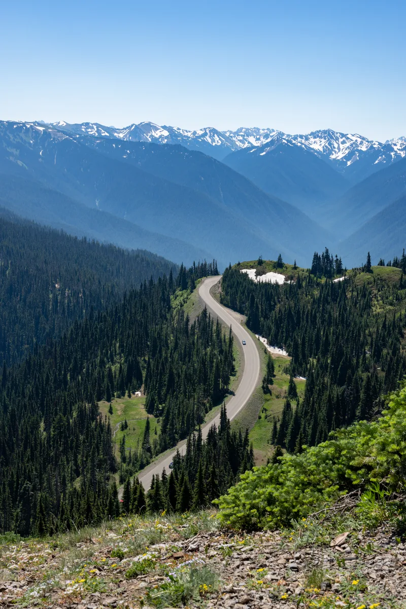 bend in the road up to hurricane ridge through the mountains