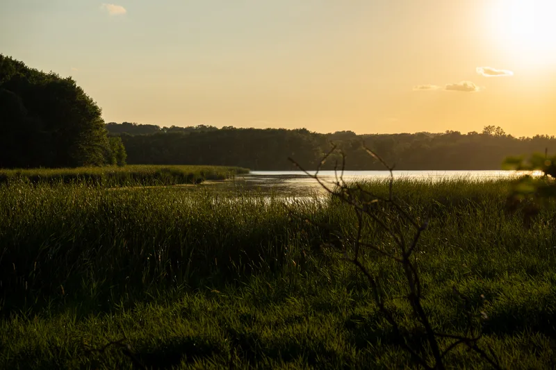 sunset over a marshy midwestern lake with clouds