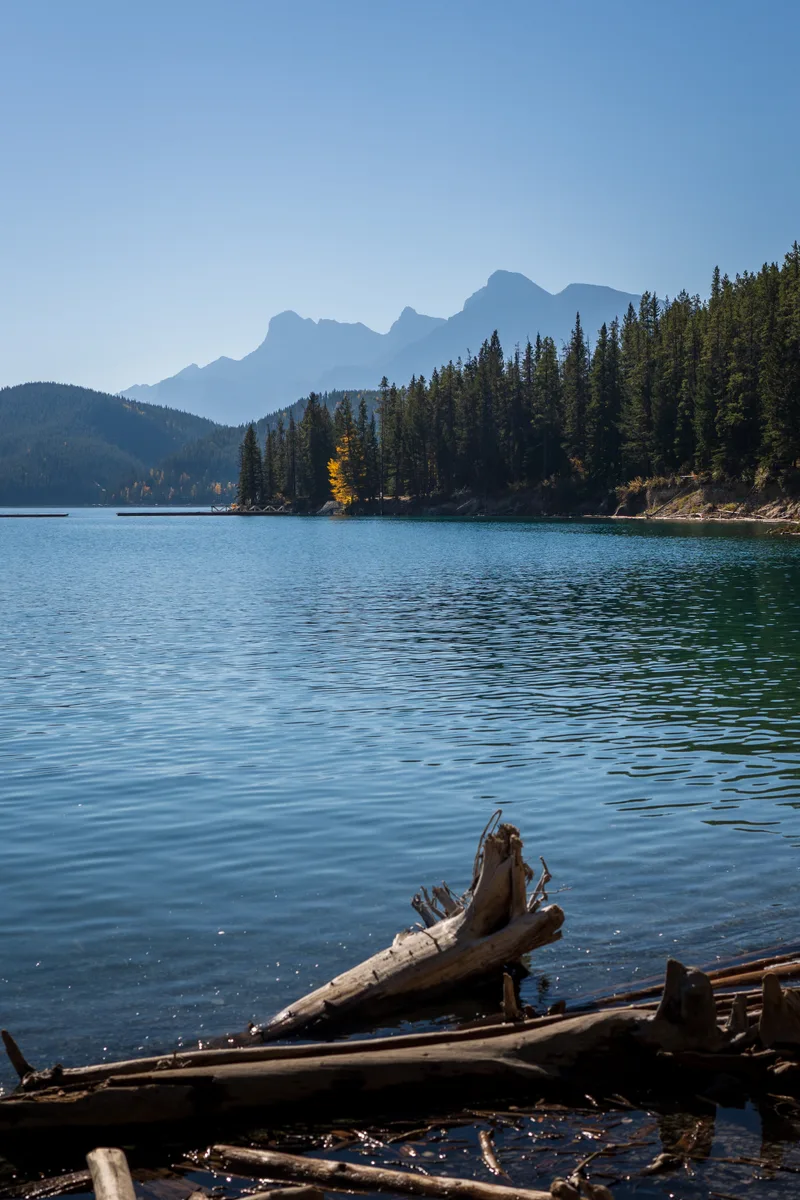 autumn view across lake minnewanka with driftwood