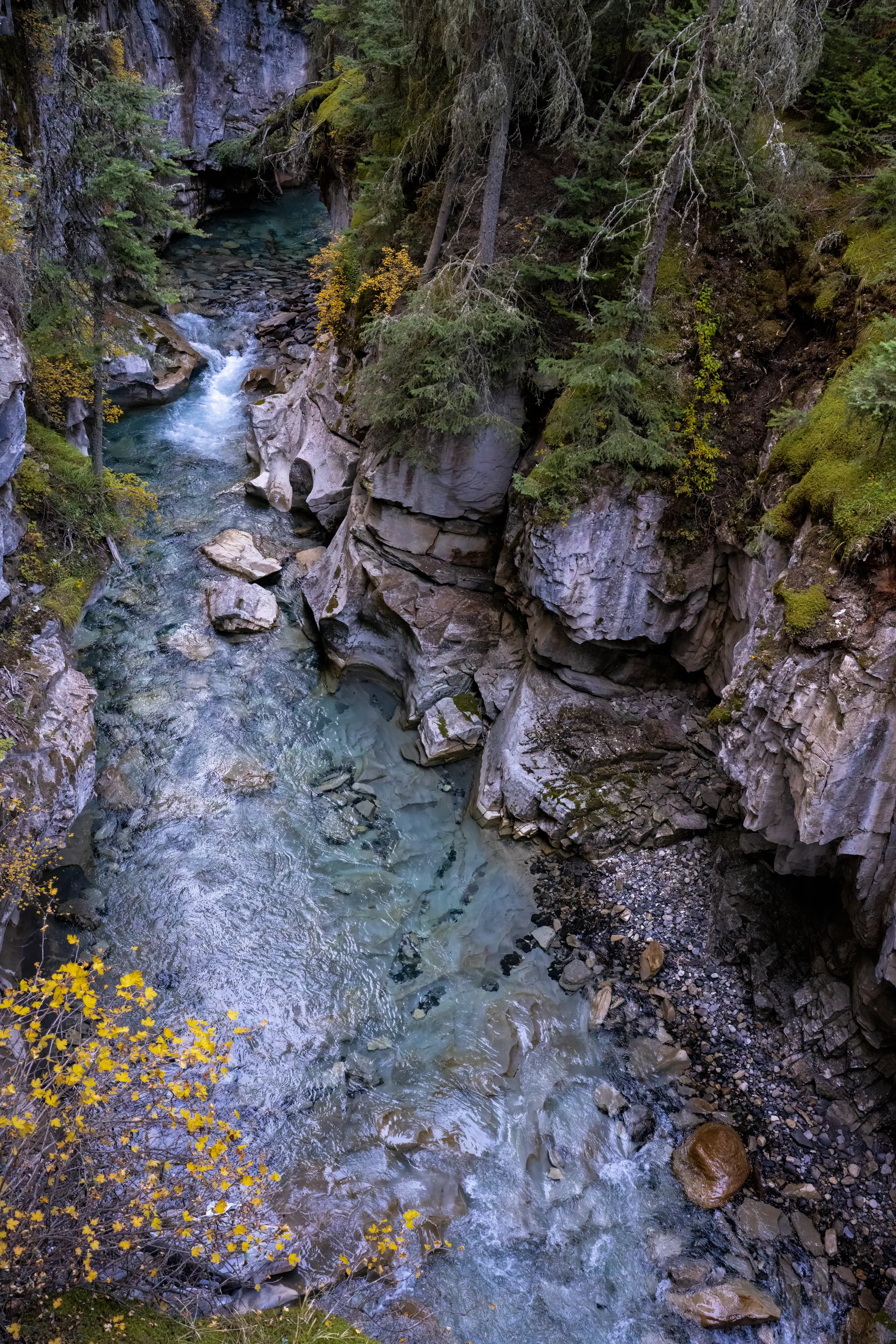 view down into johnston canyon in banff national park