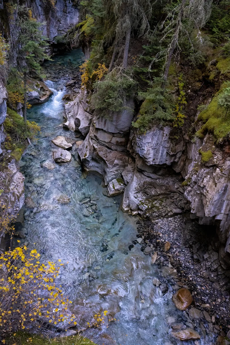 view down into johnston canyon in banff national park