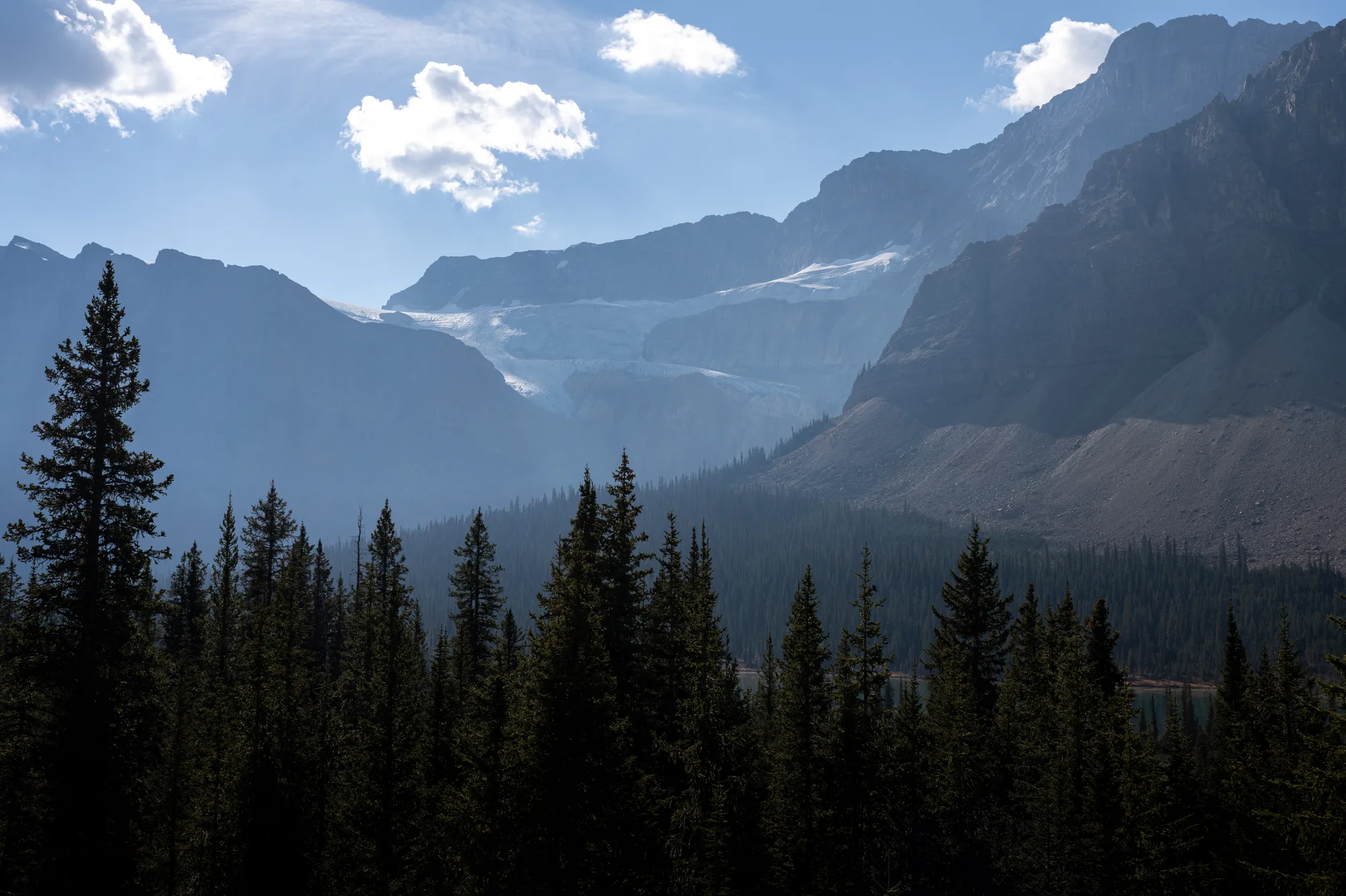 mountain side glacier in banff national park over the forest