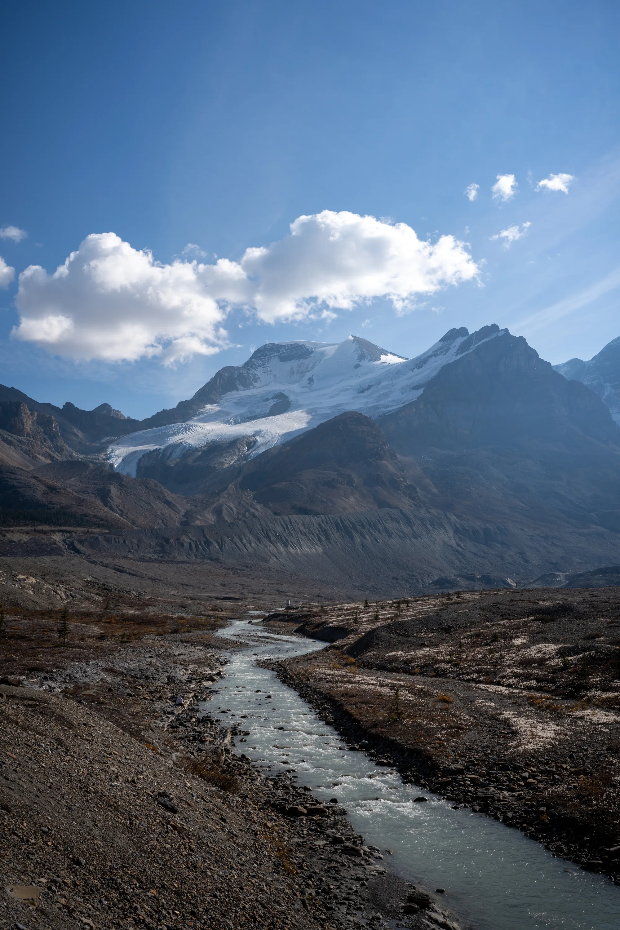 view up at the columbia icefields of jasper national park