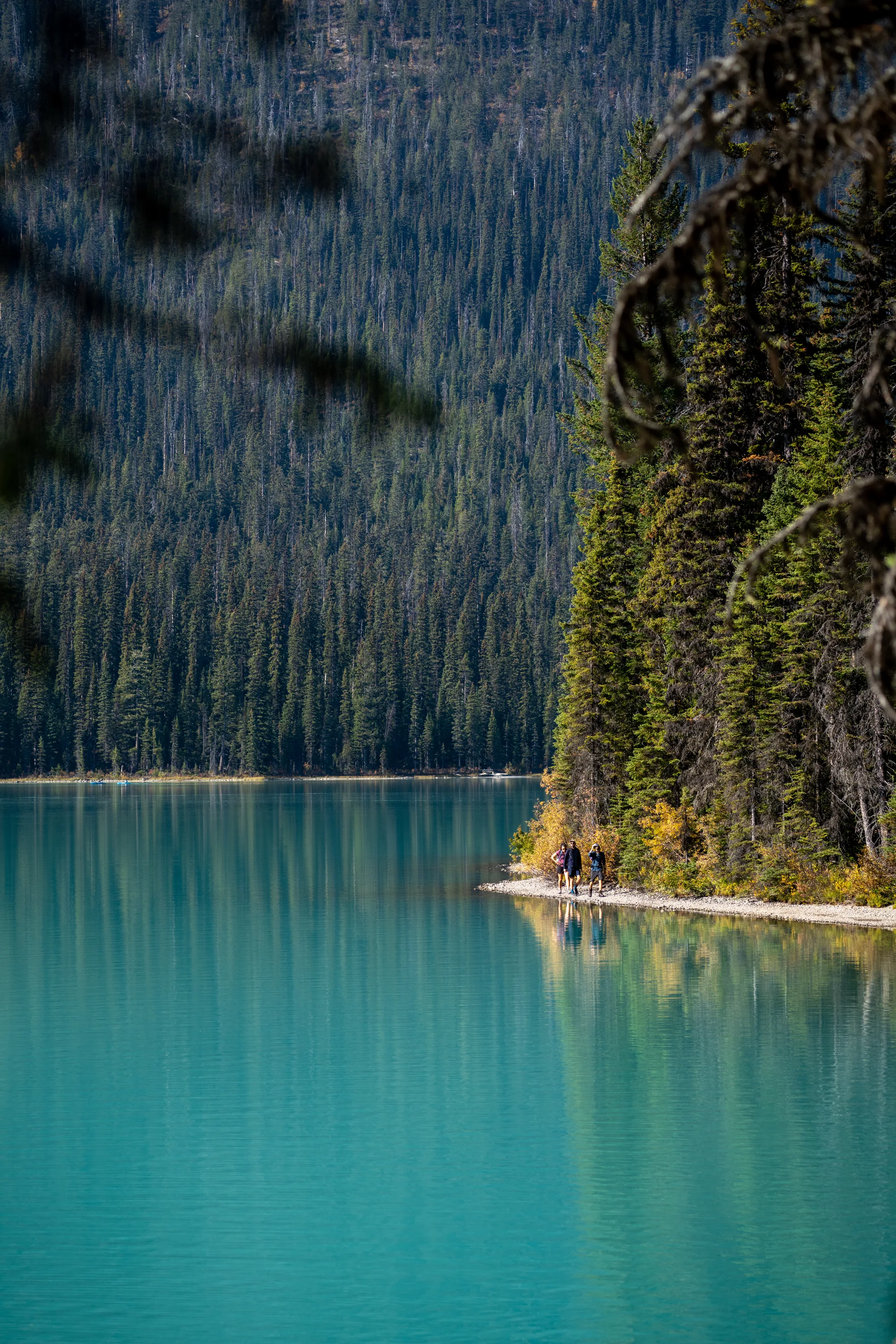 group of people hiking around emerald lake on the shore