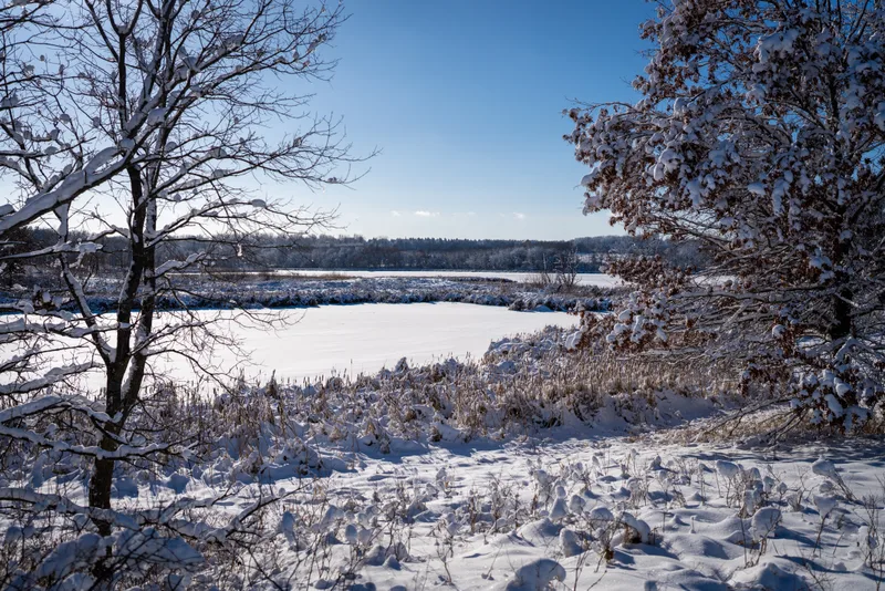fresh snow over a frozen lake