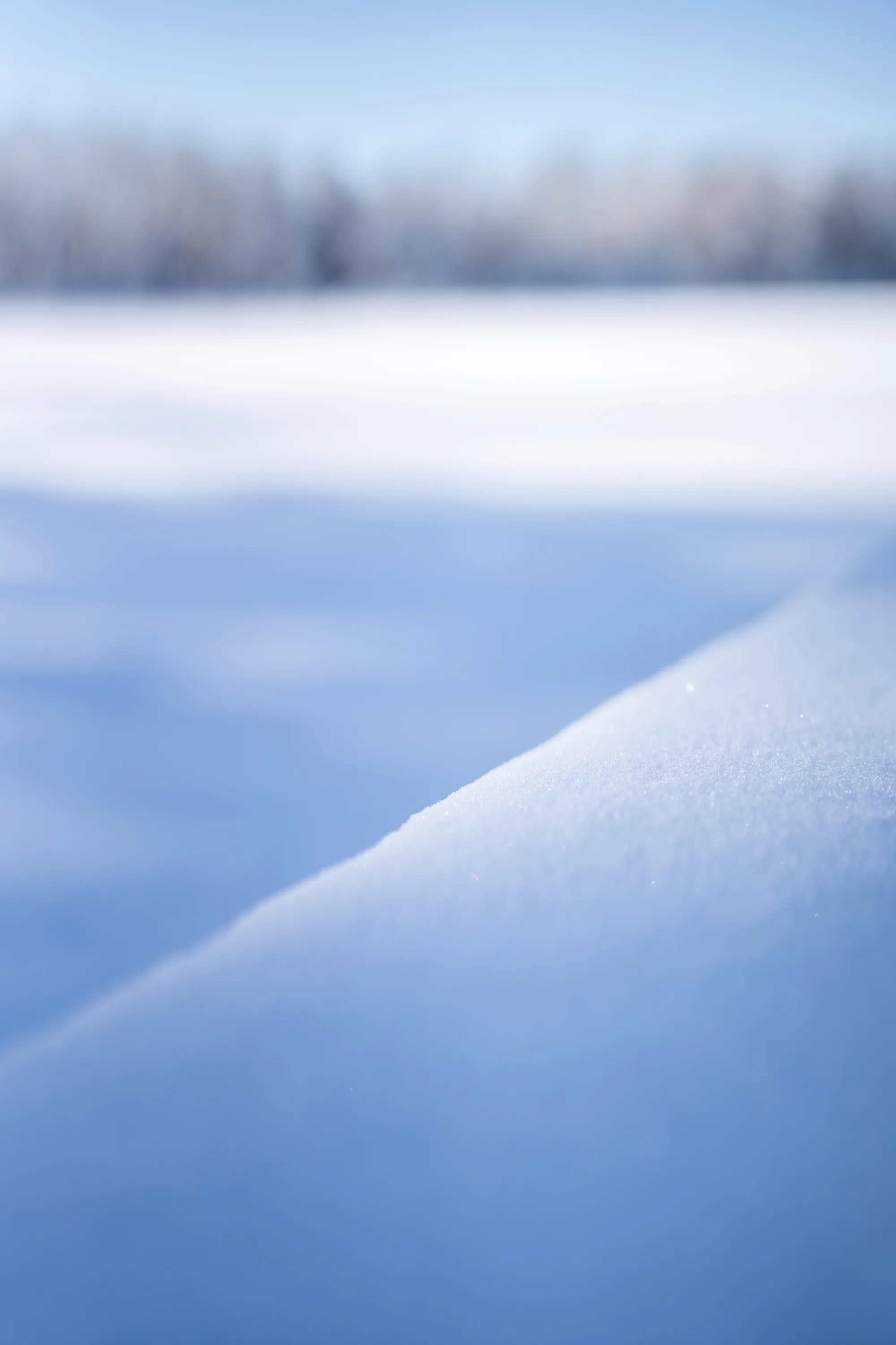 close up of snow crystals on a wood railing looking over a lake