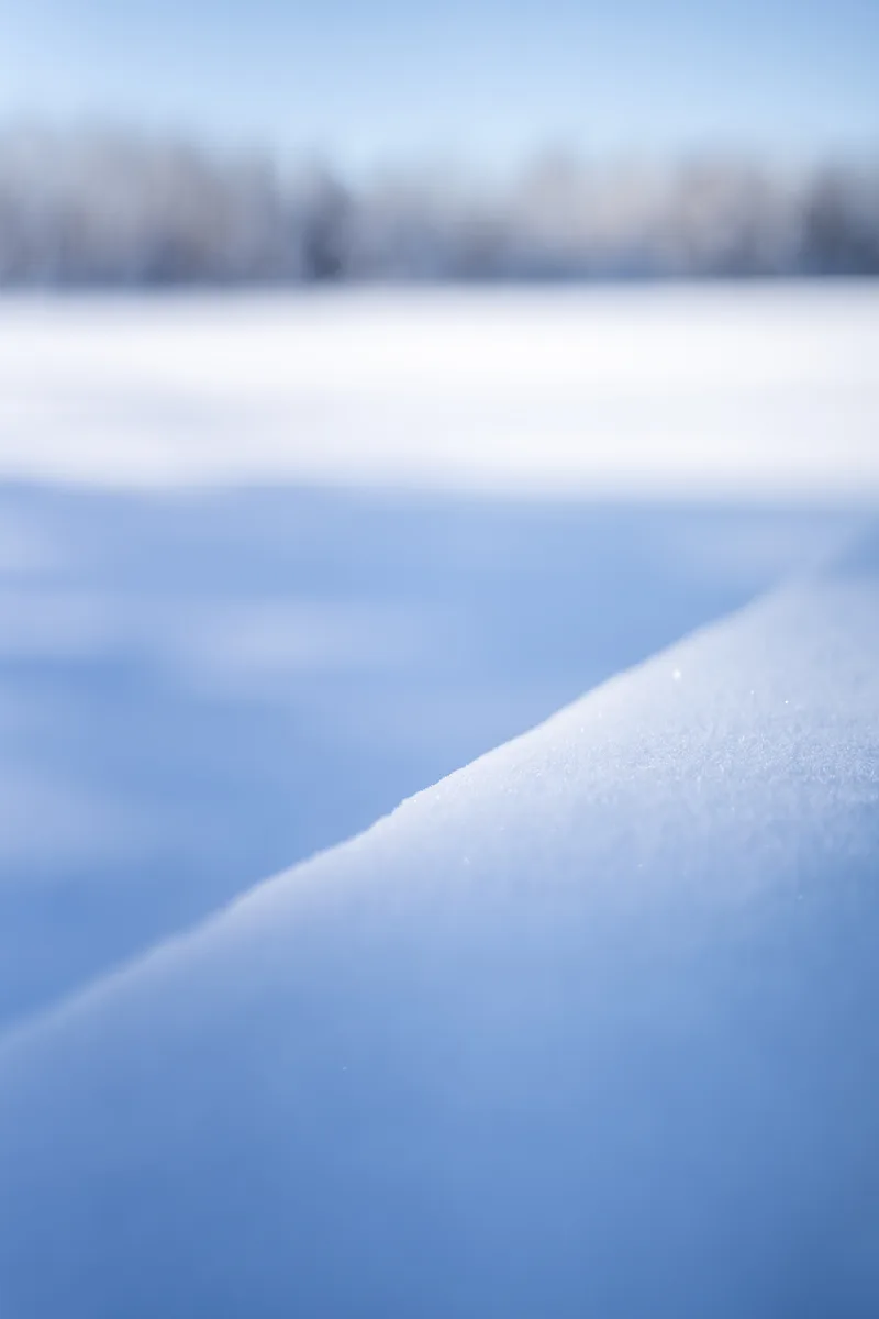 close up of snow crystals on a wood railing looking over a lake