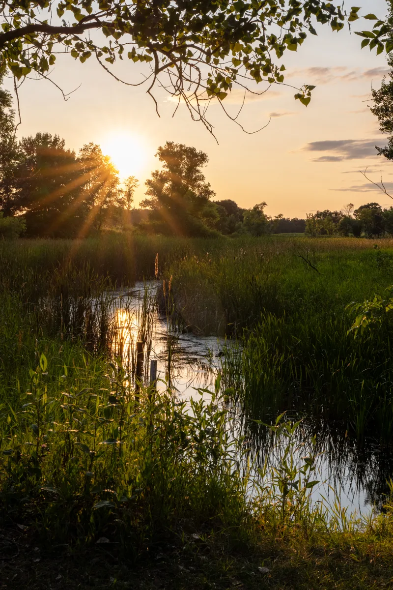 sunset with a sunburst over a wetland river
