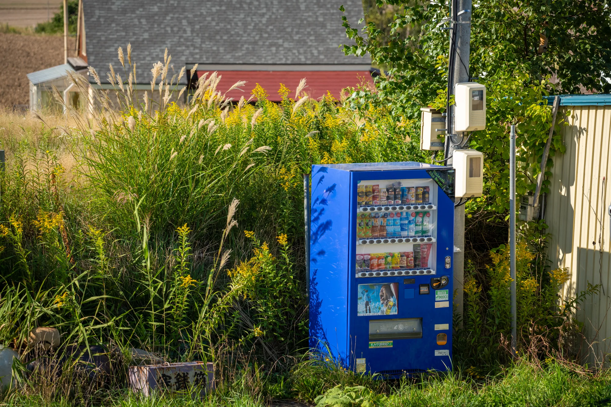 japanese vending machine sitting in a rural field in central hokkaido