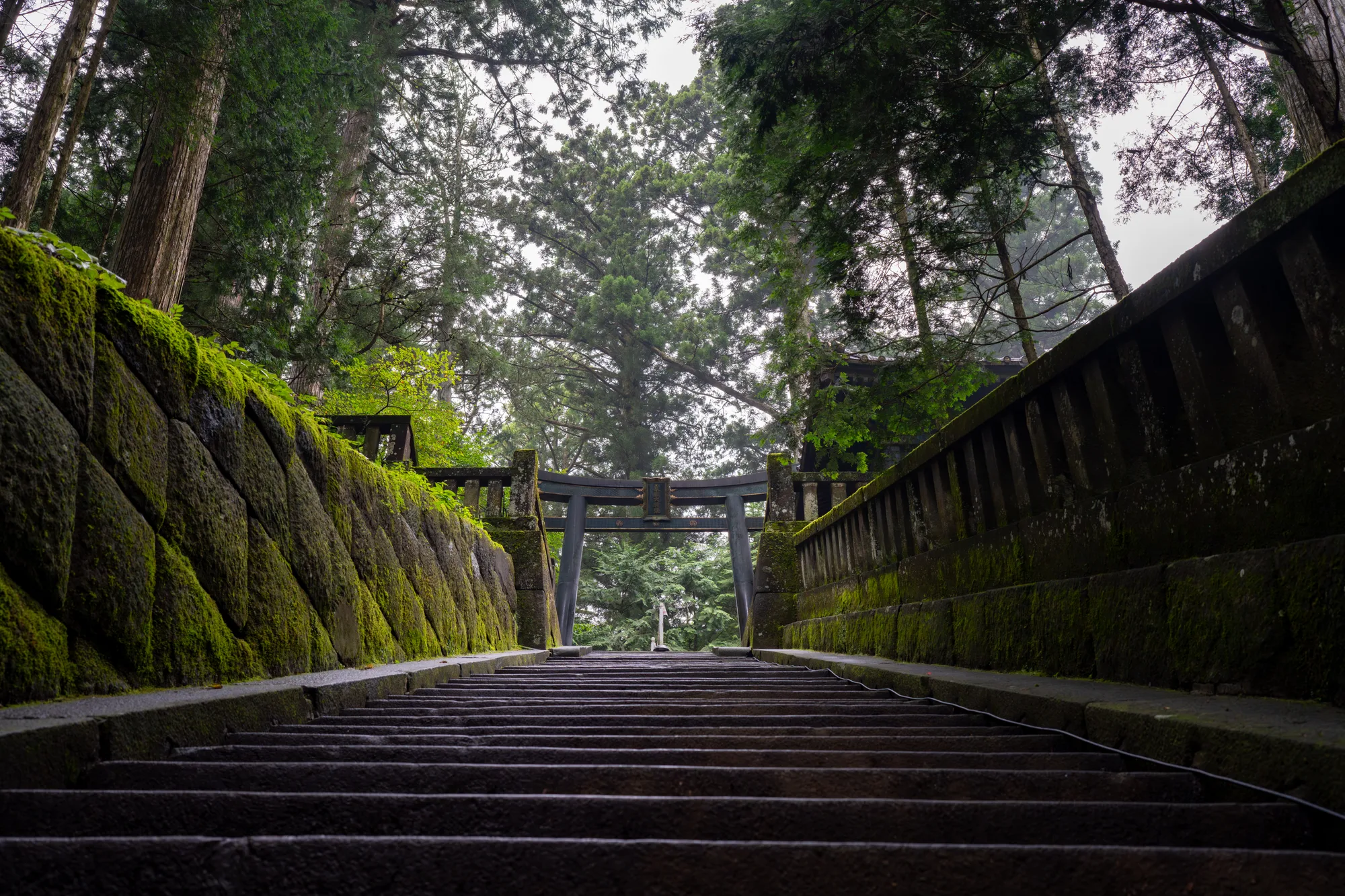 stone tori gate at the top of a stair case at a japanese temple in nikko japan