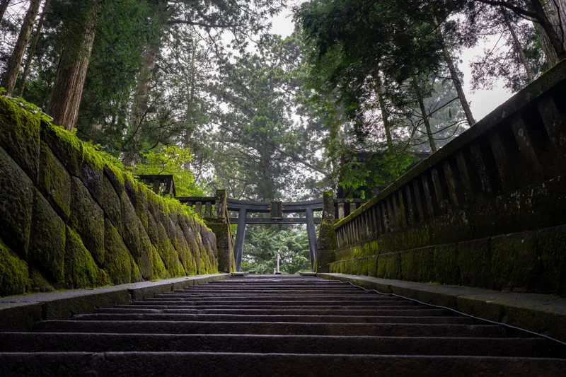 stone tori gate at the top of a stair case at a japanese temple in nikko japan