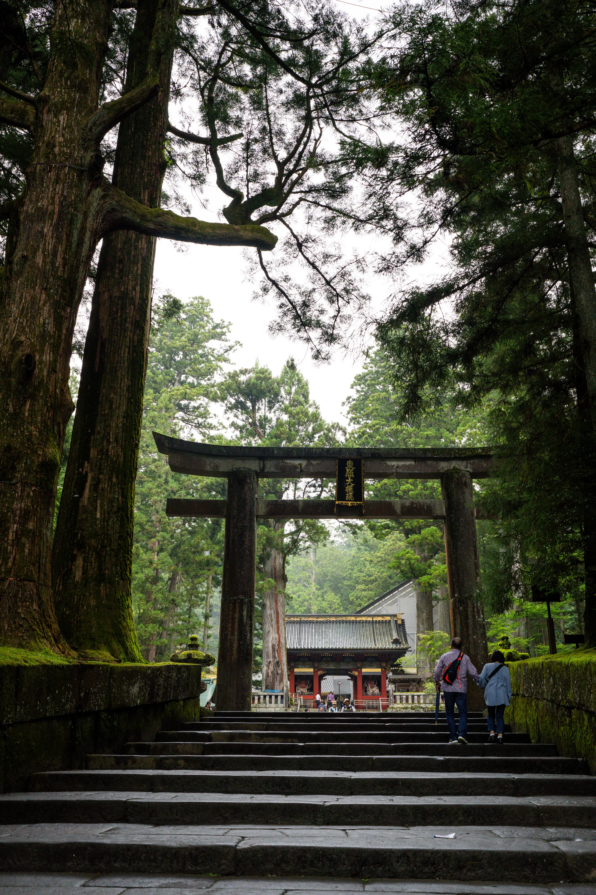 stone tori gate at the entrance to Nikko Toshogu
